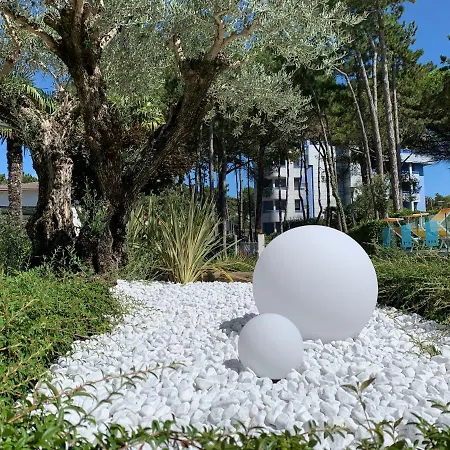 酒店 Franz 比比翁